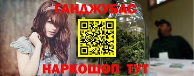 крисы Сланцы