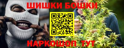 крисы Сланцы
