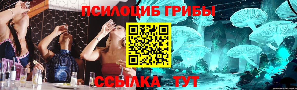 Протвино  Галлюциногенные грибы ЛСД  Галлюциногенные грибы Magic Shrooms  Вход с VPN 